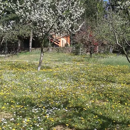 Casa vacanze Happy House Velika Remeta