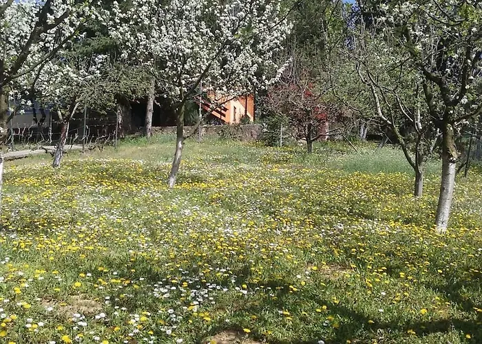 Tatil Evi Happy House Velika Remeta